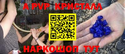прущие крисы Камышлов