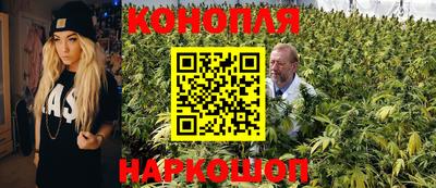 прущие крисы Камышлов