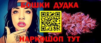 прущие крисы Камышлов