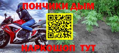 прущие крисы Камышлов