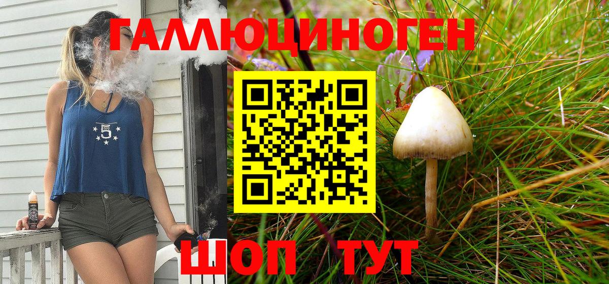 Галлюциногенные грибы Psilocybine cubensis  Вход с VPN  Красный Сулин 